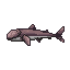Abyssal Grenadier