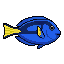 Blue Tang