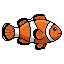 Clownfish