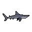 Hammerhead Shark
