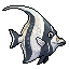 Moorish Idol
