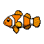 Ocellaris Clownfish