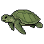 Sea Turtle